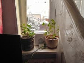 Интернет на дачу в Деревня Тимоново, Солнечногорский район, Московская область