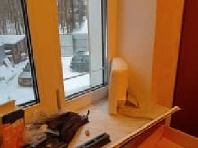 Интернет на дачу в Деревня Починки, Ногинский район, Московская область