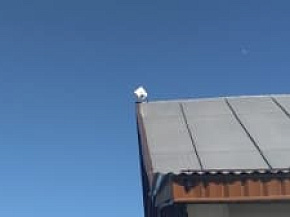 Беспроводной интернет в Ермолино, Боровский район, Калужская область 